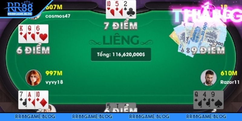 bai-3-cay-mien-bac-nhung-luu-y