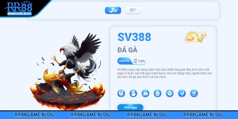 da-ga-rr88-da-dang-hinh-thuc
