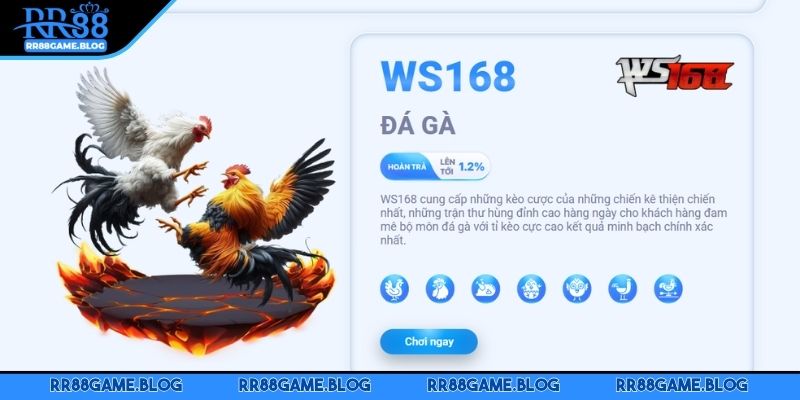 da-ga-rr88-huong-dan